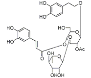  2'-乙酰毛蕊花糖苷 CAS：94492-24-7 中藥對照品標準品