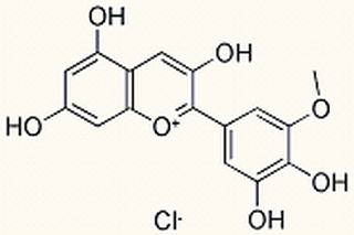 矮牽牛色素，CAS：1429-30-7，中藥對照品標準品