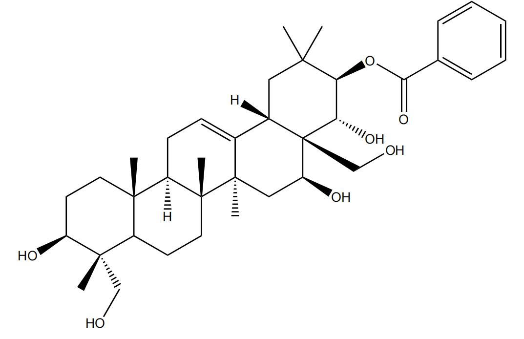 21-O-苯甲?；赘傩萝赵?/></div>
								  <div   id=