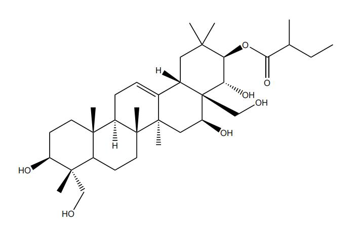 21-O-2S-甲基丁?；赘傩萝赵?丨CAS No.1581276-60-9