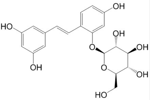 氧化白藜蘆醇-2-O-β-D-吡喃葡萄糖苷 丨CAS No.392274-22-5