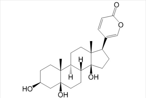 遠華蟾蜍精 丨CAS No.472-26-4