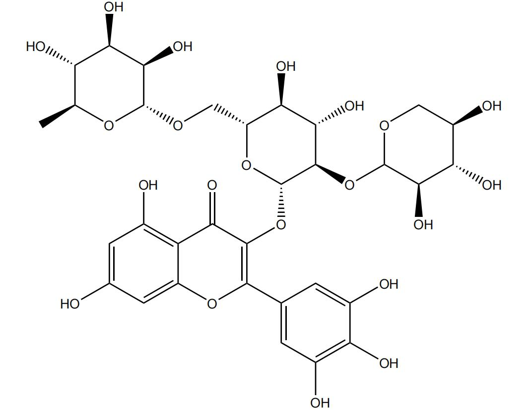 楊梅素-3-O-β-D-吡喃木糖基 貨號丨DY0720