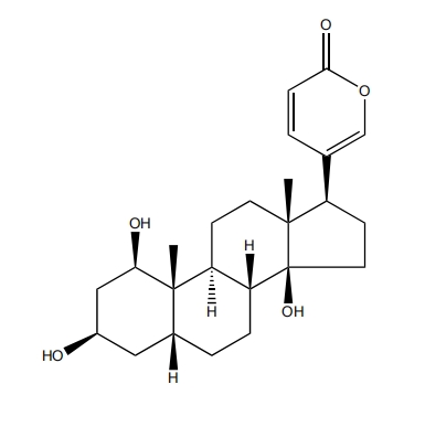 1beta-羥基蟾毒靈 | CAS No.366004-27-5