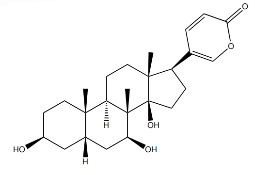 7beta-羥基蟾毒靈 | CAS No.20143-97-9
