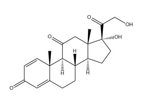 潑尼松 | CAS No.53-03-2